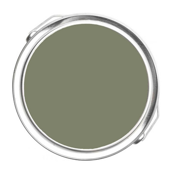 475 - Galapagos Green Benjamin Moore