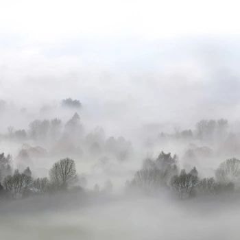 R15301 – fototapeta Morning Fog Rebel Walls