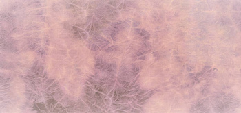 280_003 – fototapeta Taplab