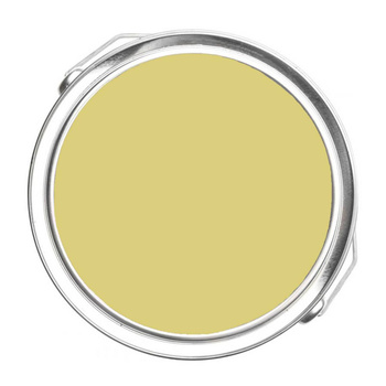 390 - Golden Delicious Benjamin Moore