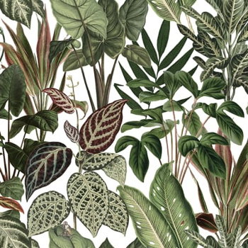 R14591 – fototapeta Mischievous Monkeys Rebel Walls