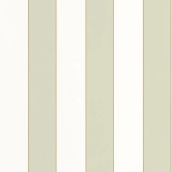 101077036 - tapeta Golden Lines Basics Caselio