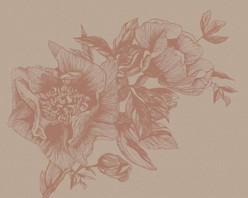 9500702 - panel Giant Peonies Nude Naturae Coordonne