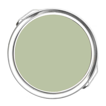 480 - Lilly Pad Benjamin Moore