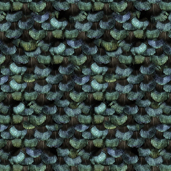 R15091 – fototapeta Peacock Plumage Rebel Walls