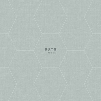 149-148 750 - tapeta Hexagon Blush Esta Home