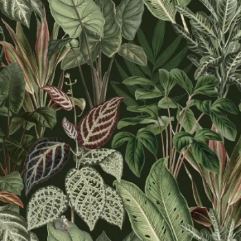 R14592 – fototapeta Mischievous Monkeys, Lush Rebel Walls