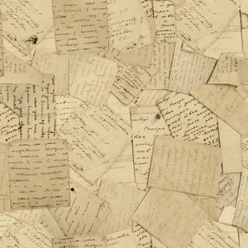 R11541 – fototapeta Correspondence Rebel Walls