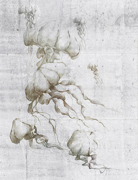 142_005 – fototapeta Meduse Taplab