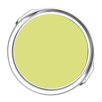 396 - Chic Lime Benjamin Moore