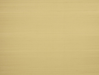 BP334021 – tapeta Shiva Pierre Frey