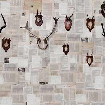 WDAL1501 – fototapeta Alpenjager Contemporary 2015 Wall & Deco