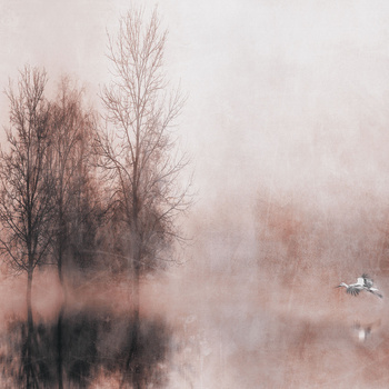 Tapeta Inkiostro Bianco ALTEA INKARRR2202