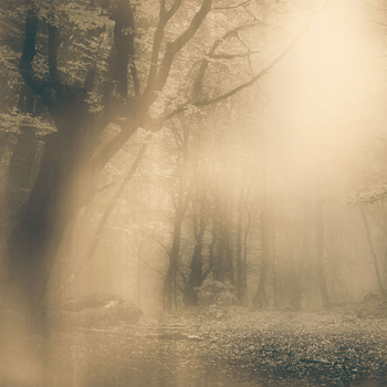 Tapeta Inkiostro Bianco MOONLIGHT INKNEHA2202