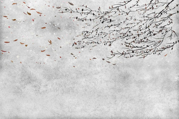 6600085 - panel Eolia Winter Core Coordonne