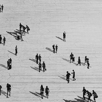 WDCF1902 -  fototapeta  La Citta`Fluida Contemporary 2019 Wall & Deco