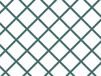 304_003 – fototapeta Taplab