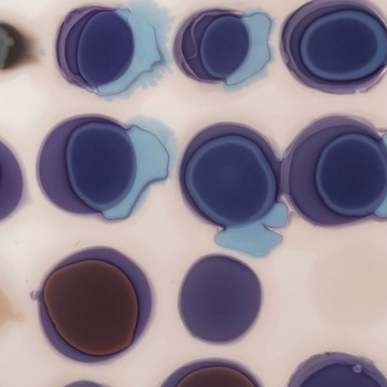 WDSP2202 – fototapeta Spring Puddles Wall&Deco