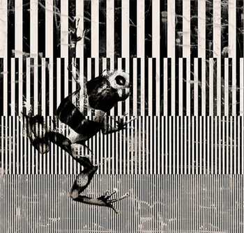 WDBE1802 – fototapeta Bestiarivm Contemporary 2018 Wall & Deco