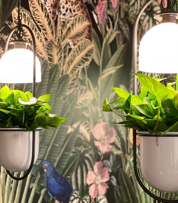 Detal tapety Dark Jungle Wallcolors z motywem roślin i ptaków