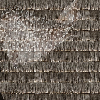 WDPP1901  - fototapeta Poid Plume  Contemporary 2019 Wall & Deco