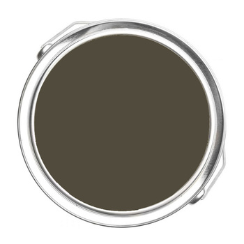 2138-10 Southern Vine Benjamin Moore