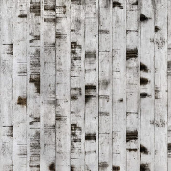 R15221 – fototapeta Metal Birch Rebel Walls