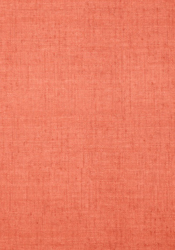 T14141 – tapeta Bankun Raffia Texture Resource Volume 5 Thibaut