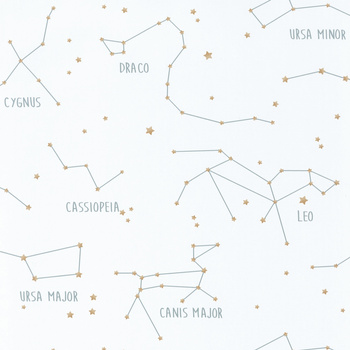 101917125 – tapeta Constellations Our Planet Caselio