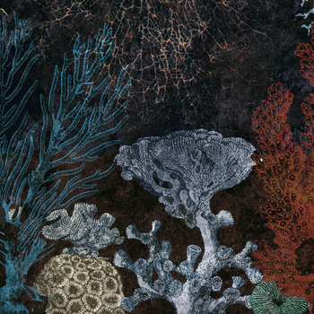 Tapeta Inkiostro Bianco – Abissi INKCUUI2002