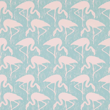 214569 - tapeta Flamingos One Sixty Sanderson