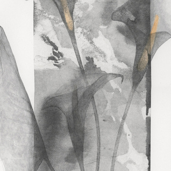 WET_GP1901 – fototapeta The great pretender Wet System Wall&Deco