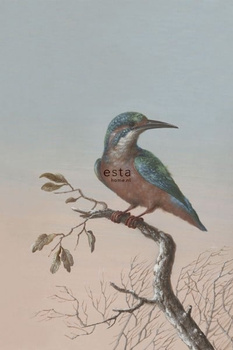 149-158 888 - tapeta Kingfisher On Branch Evening Blush Esta Home