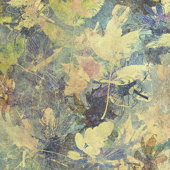 093_003 – fototapeta Taplab