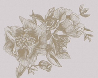 Non-woven