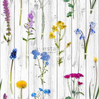 143-158828 - fototapeta Xxl Wild Flowers On Wooden Vintage Planks Green House Esta Home