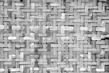 6500320 - panel Palm tree frame Grey Random Papers Coordonne