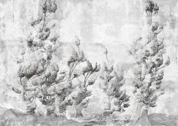 66953-2 – fototapeta  Somerset-Hiver Modern Affresco Tecnografica