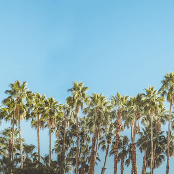 R16051 – fototapeta Riviera Daydream Rebel Walls