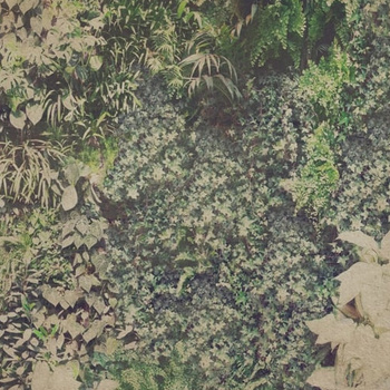 WDVG1501 – fototapeta Vertical Green Contemporary 2015 Wall & Deco