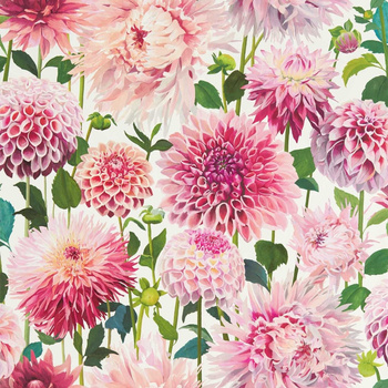 112843 - tapeta Dahlia Colour 2 Harlequin