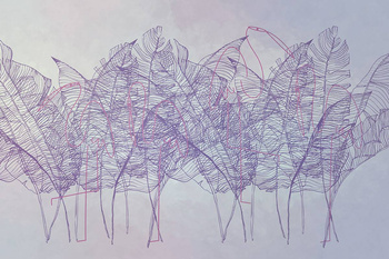 269_002 – fototapeta Taplab