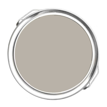 2108-50 Silver Fox Benjamin Moore