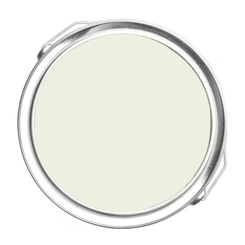 851 - Tint Of Mint Benjamin Moore