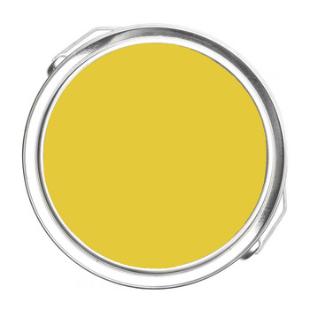357 - Yellow Hibiscus Benjamin Moore