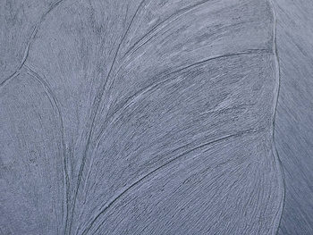 266_002 – fototapeta Taplab