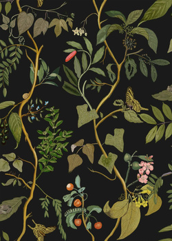 9300014 - tapeta Diderot Eclipse Maximalism Coordonne