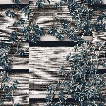 WET_VP2002 VOYAGE PRIVE - Fototapeta Wal&Deco WET