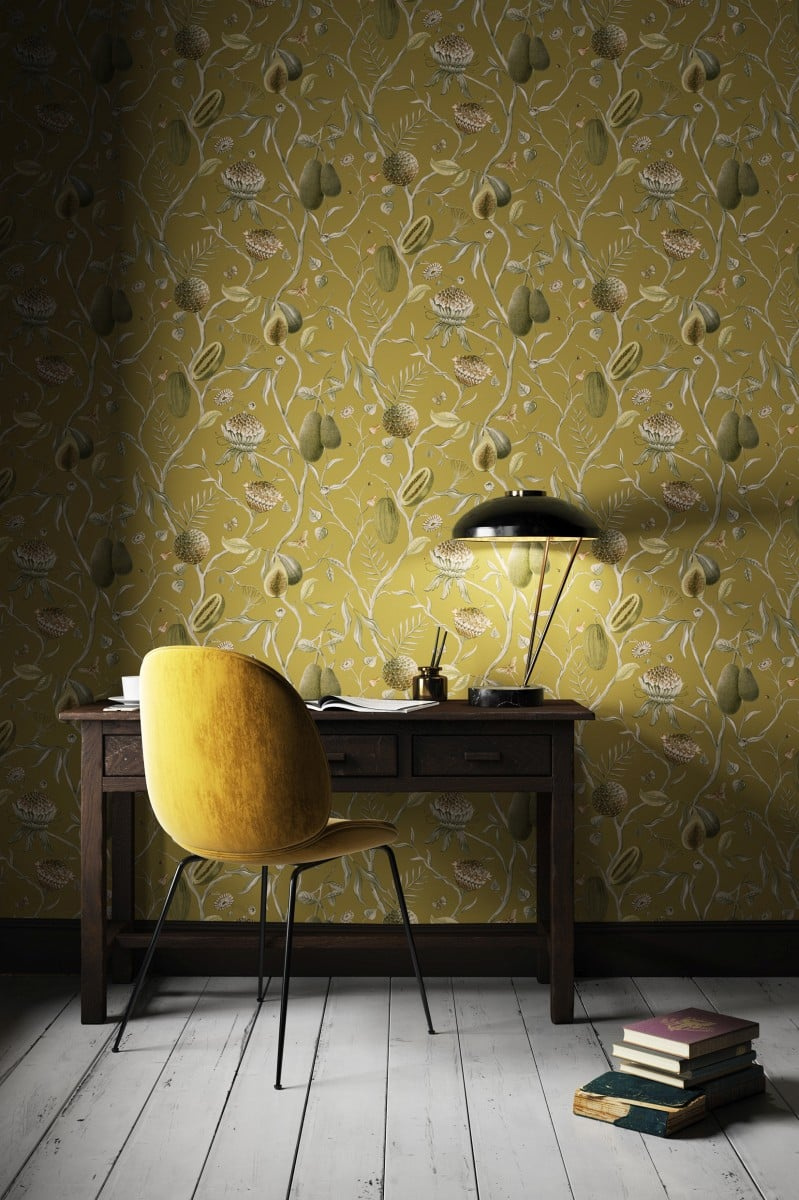 CAB603 – tapeta Papaya Cabinet Khroma – Khroma – zdjęcie produktu