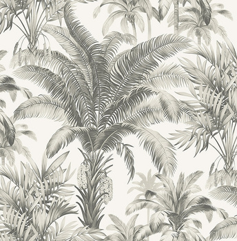 CN30708 - tapeta Charleston Palms Wallpaper Charleston Wallquest